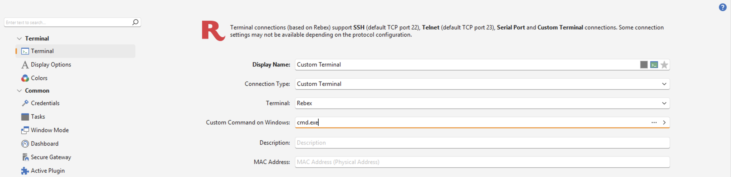 RTSV26_CustomTerminal1