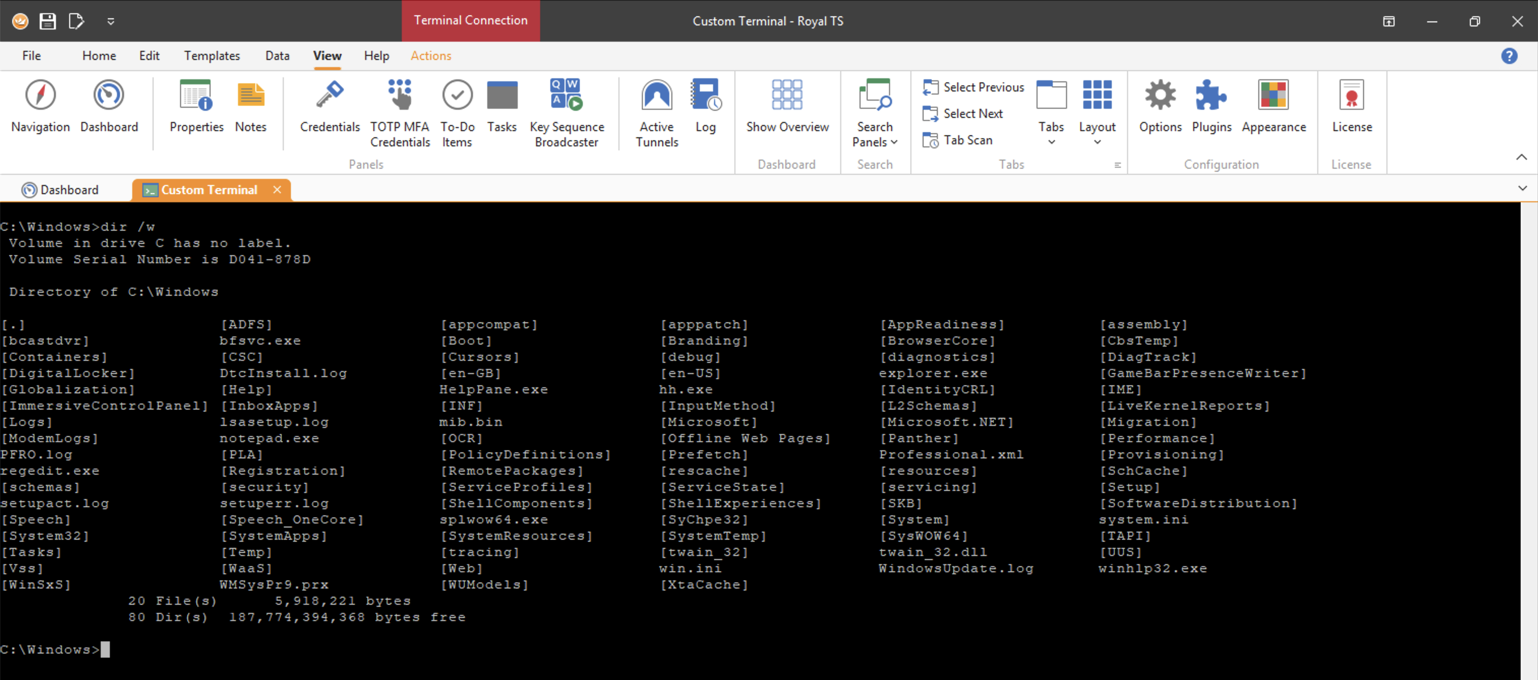 RTSV26_CustomTerminal2